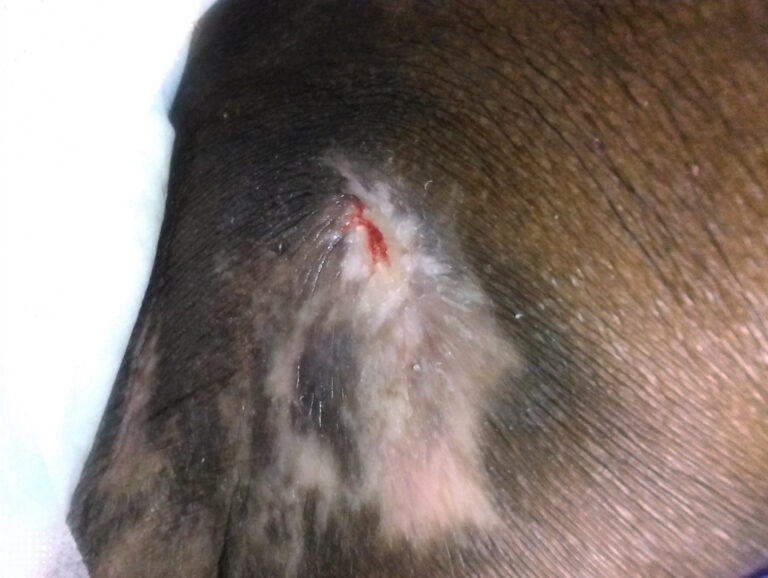 Week 10